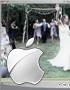 April and Michael Wedding Flashback Highlights Image
